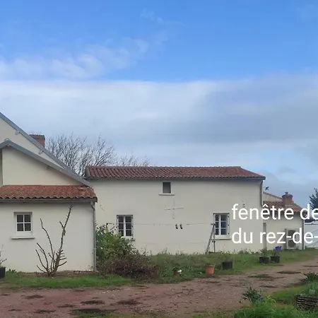 Chez Martine Alba